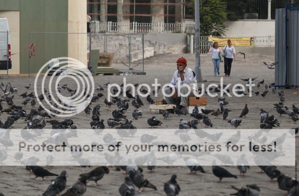 photo IMG_2832.jpg
