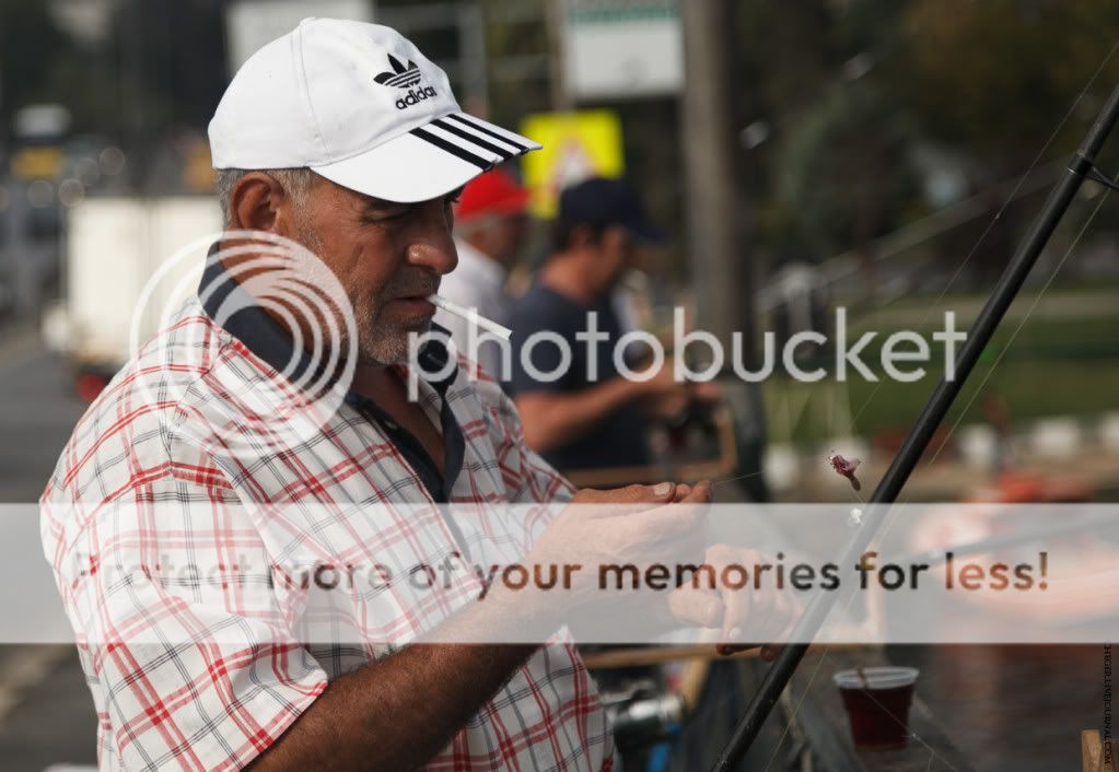 photo IMG_2867.jpg