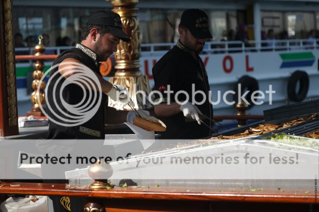 photo IMG_3068.jpg