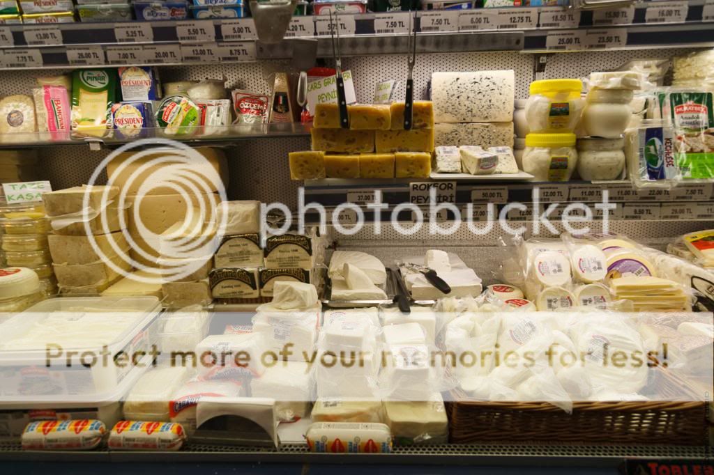 photo IMG_3173.jpg
