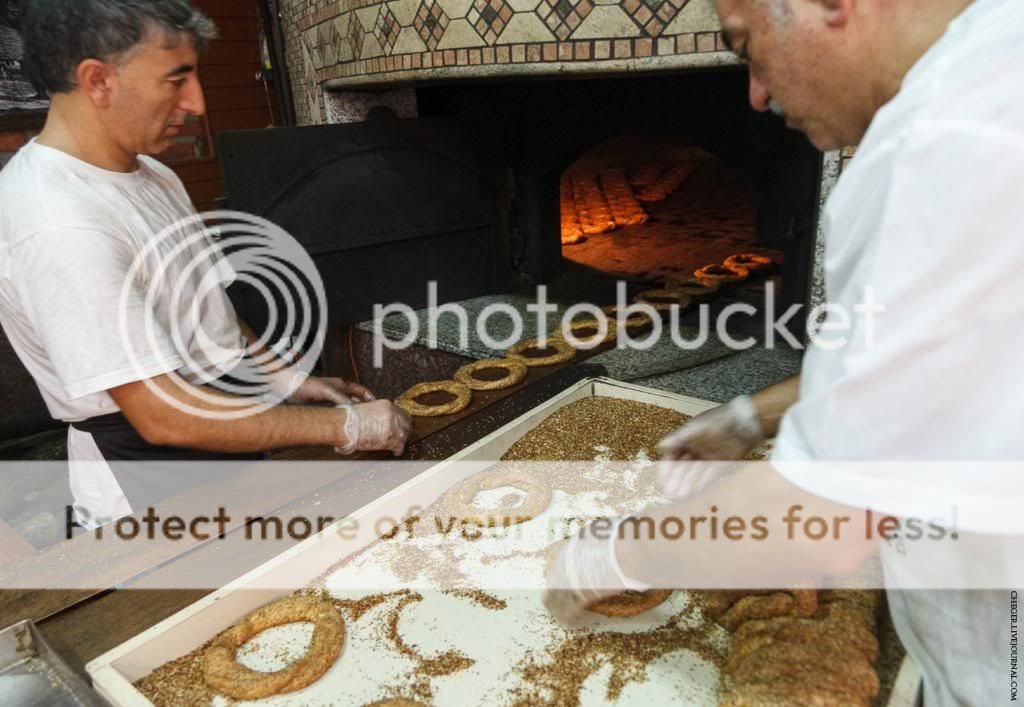 photo IMG_3738.jpg