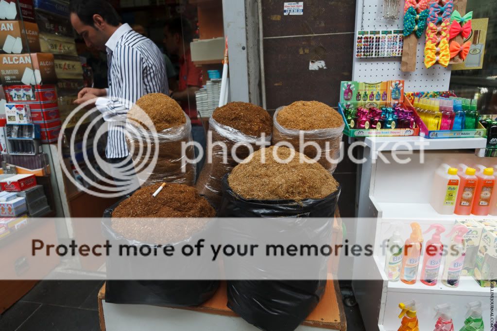 photo IMG_2899.jpg