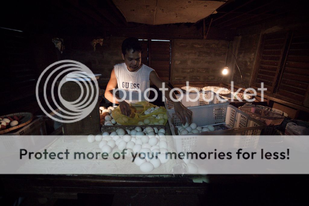 photo IMG_7789.jpg