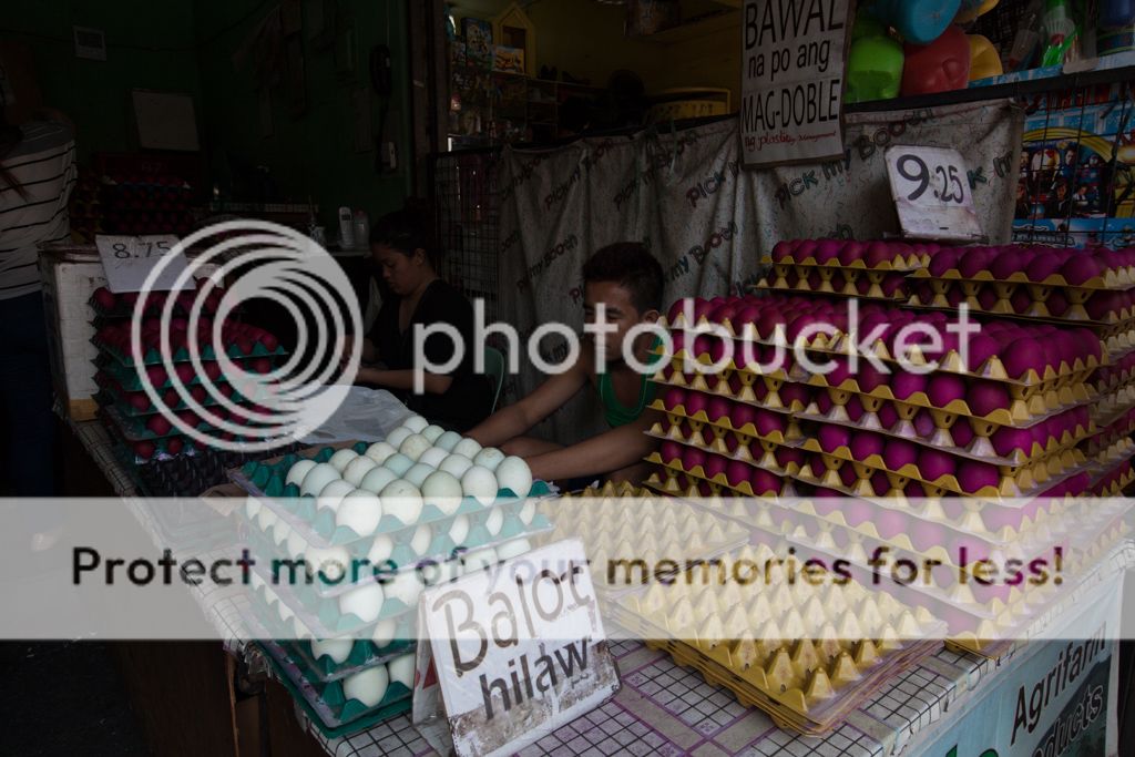 photo IMG_8046.jpg
