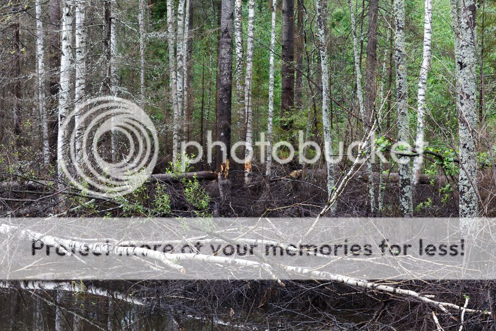 photo IMG_7457.jpg