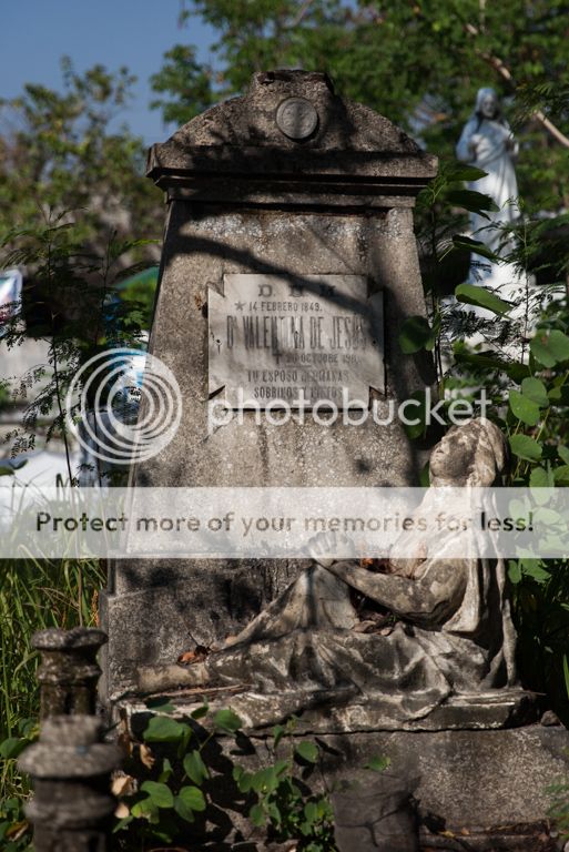 photo IMG_3886.jpg