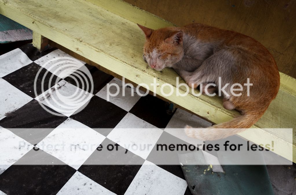 photo IMG_8617.jpg