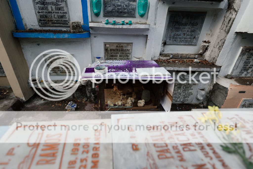 photo IMG_8668.jpg
