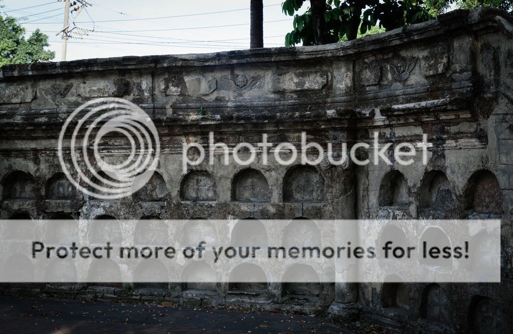 photo IMG_6076.jpg