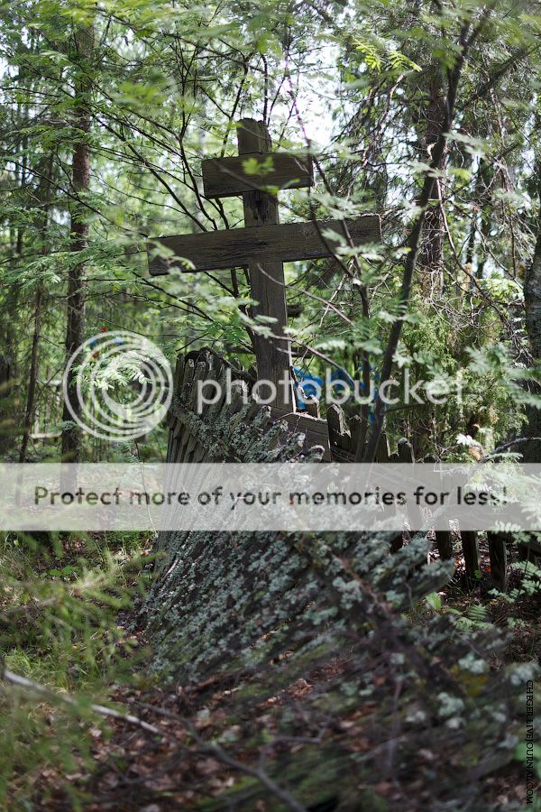 photo IMG_2461.jpg