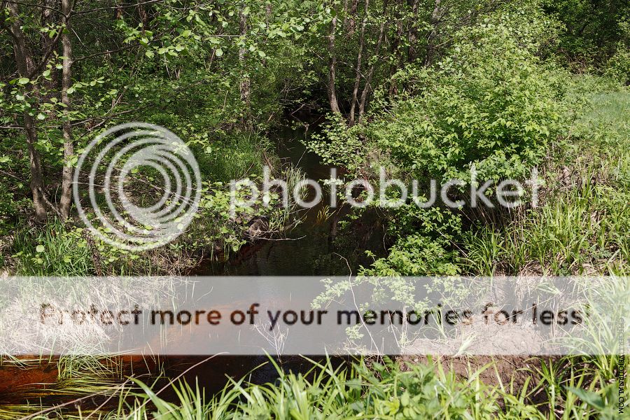 photo IMG_2468.jpg