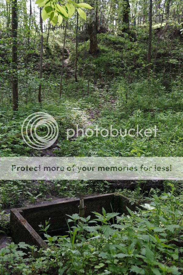 photo IMG_2480.jpg