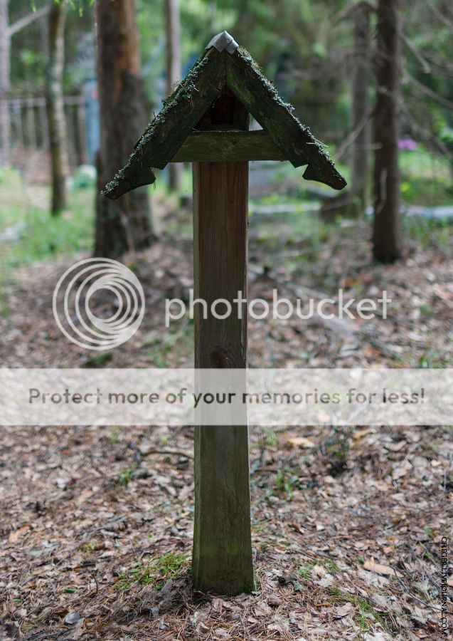 photo IMG_2587.jpg