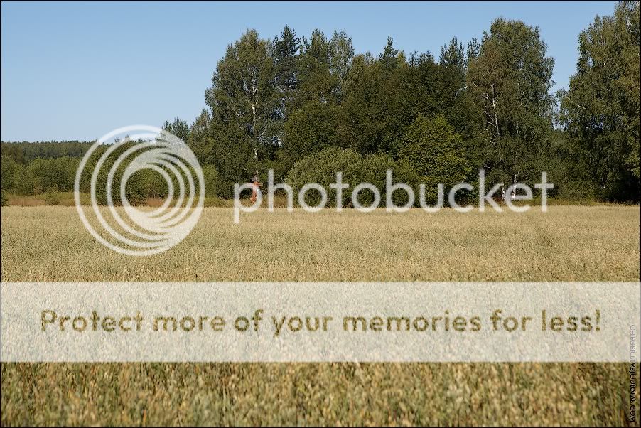 О староверах на Нижегородчине: Комаровский скит и скит Новый Шапран Photobucket
