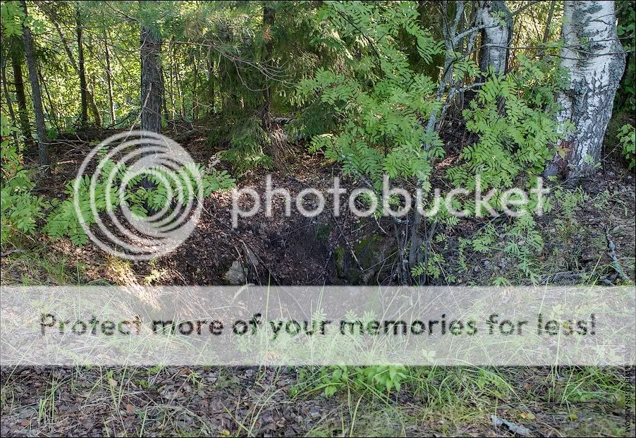 О староверах на Нижегородчине: Комаровский скит и скит Новый Шапран Photobucket