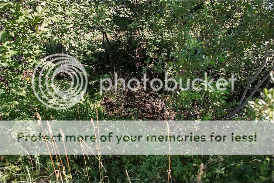 О староверах на Нижегородчине: Комаровский скит и скит Новый Шапран Photobucket