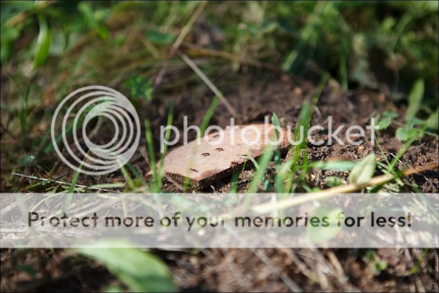 О староверах на Нижегородчине: Комаровский скит и скит Новый Шапран Photobucket