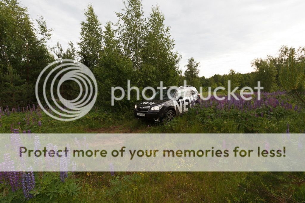 photo IMG_8240.jpg