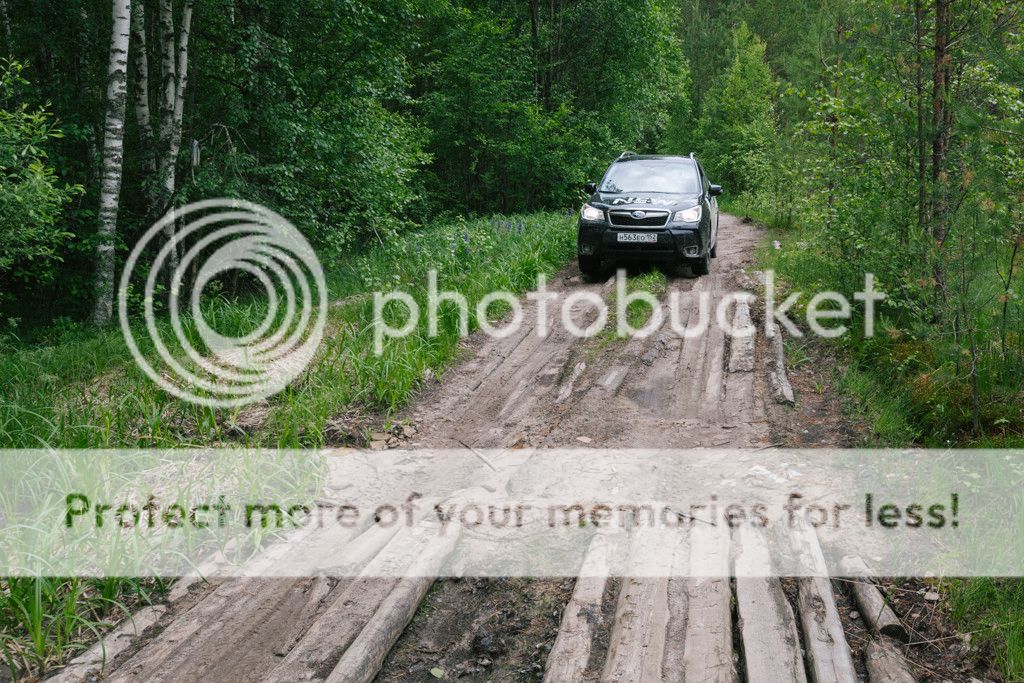 photo IMG_8552.jpg