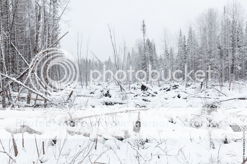photo IMG_9185.jpg