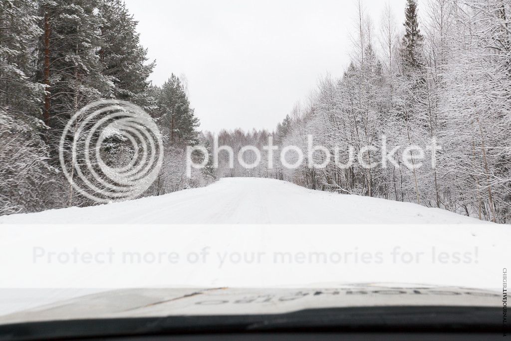 photo IMG_9287.jpg