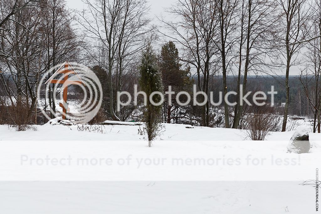 photo IMG_8488.jpg