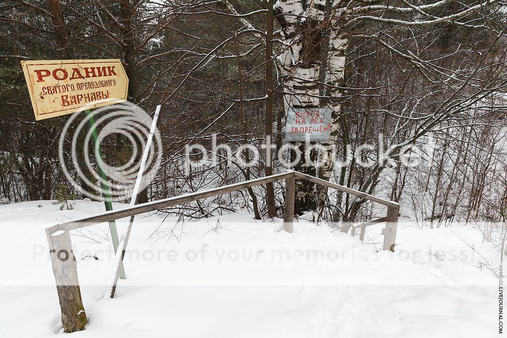 photo IMG_8498.jpg