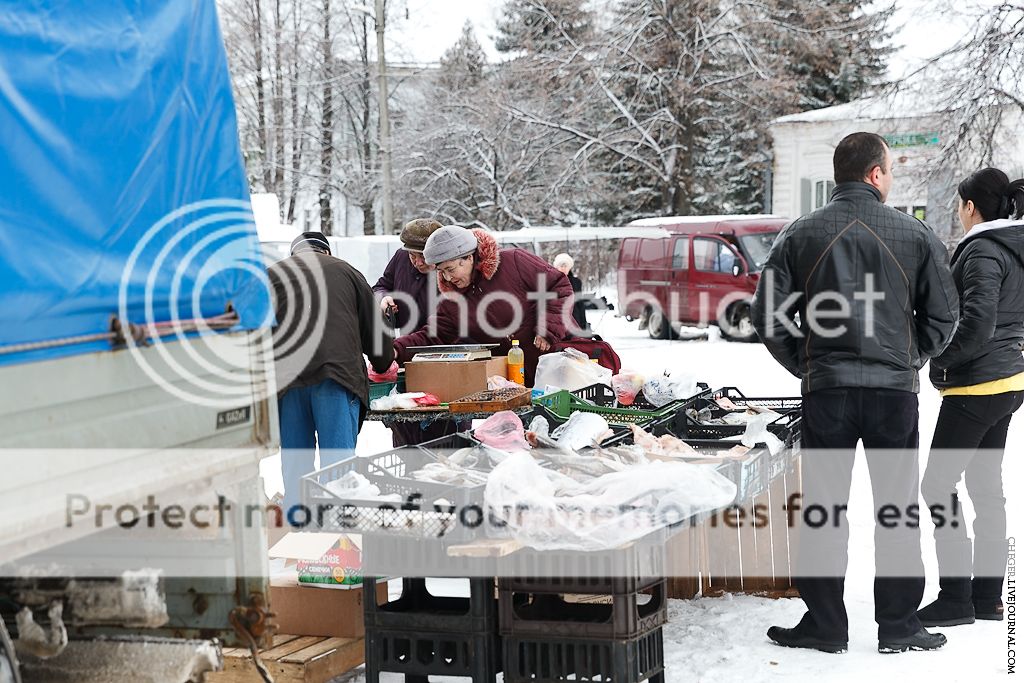 photo IMG_8535.jpg