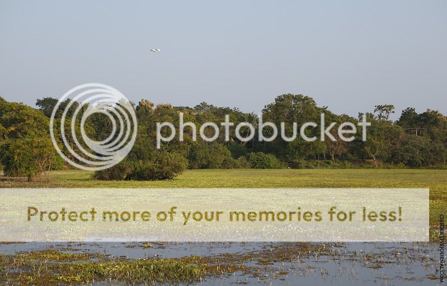 photo IMG_1892.jpg
