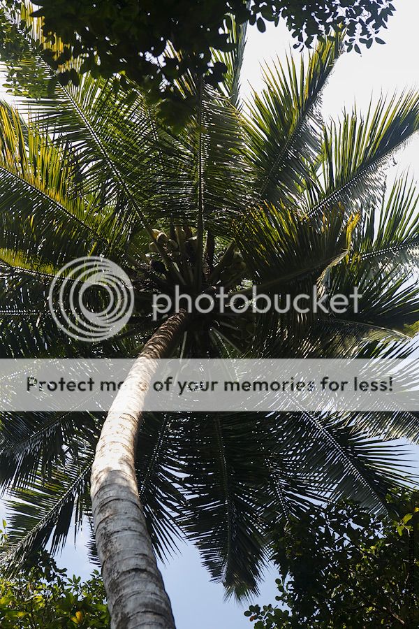 photo IMG_2867.jpg