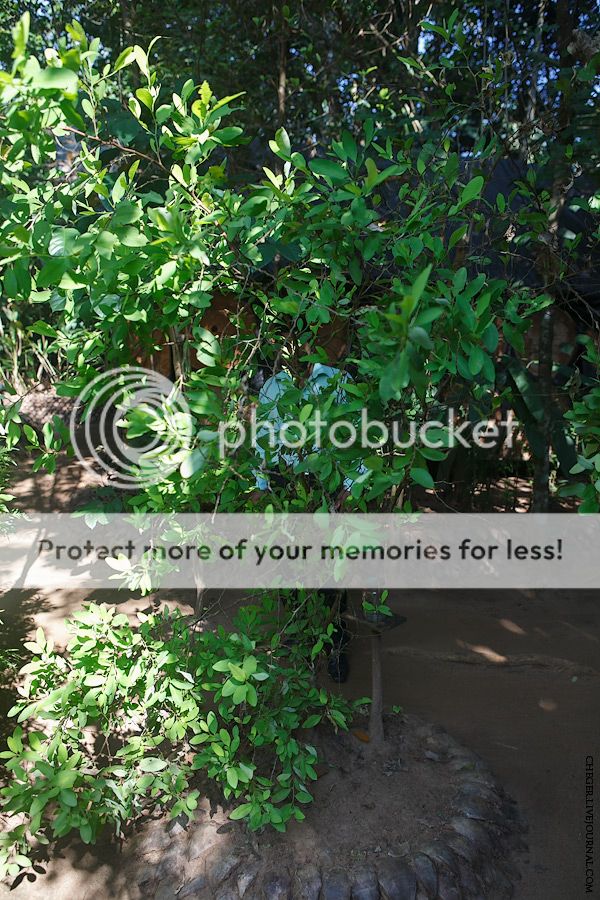 photo IMG_2898.jpg