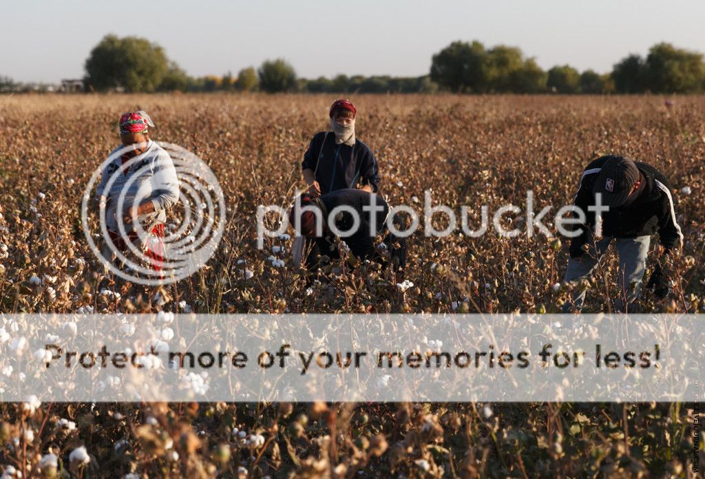 photo IMG_0793.jpg