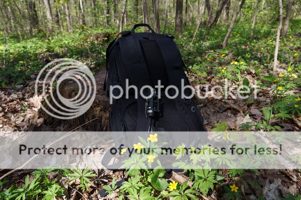 photo IMG_3344.jpg