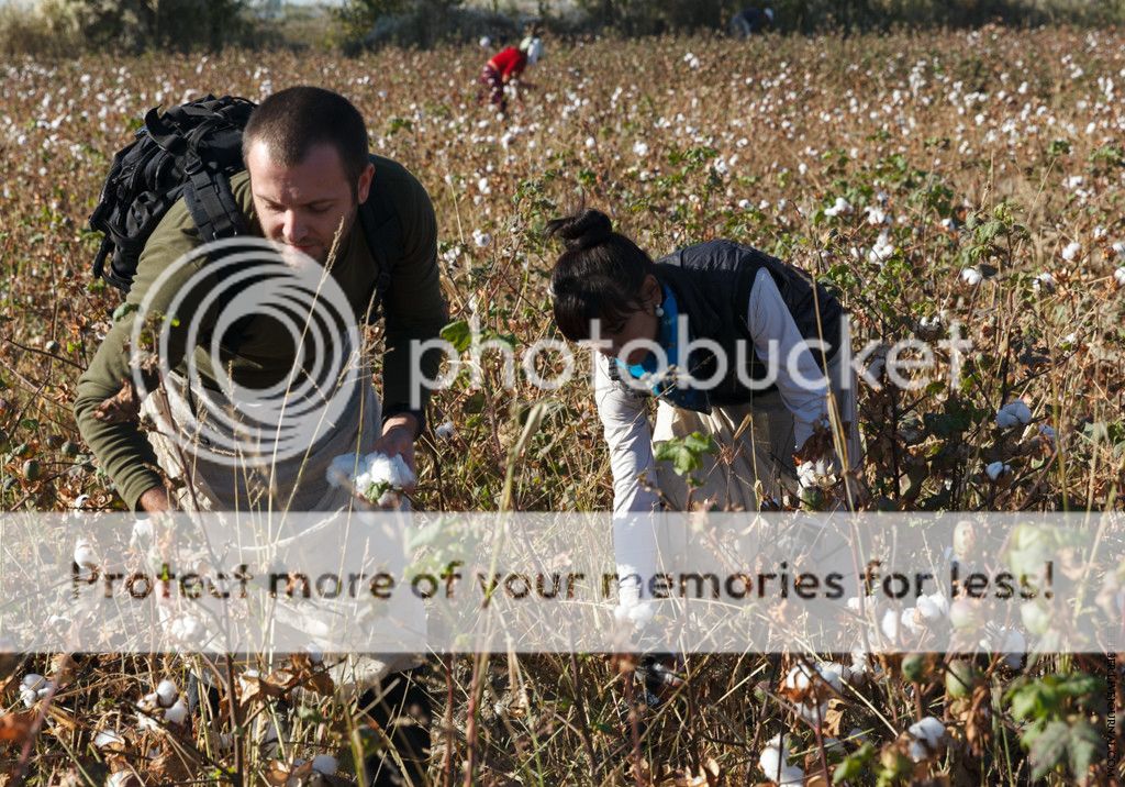 photo IMG_5973.jpg